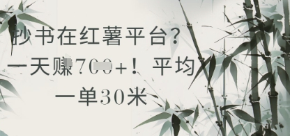 抄书在小红薯平台？平均一单30米，一天收益几张！-学习笔记资源库