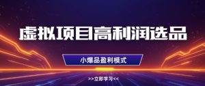 虚拟项目高利润选品方法，做好单店利润1W+，可多店倍增利润-学习笔记资源库