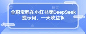 全职宝妈在小红书卖DeepSeek提示词,一天收益1k-学习笔记资源库