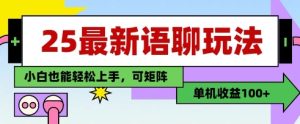 25年最新语聊玩法，纯手工，单机收益100+，小白也能轻松上手，可矩阵操作-学习笔记资源库