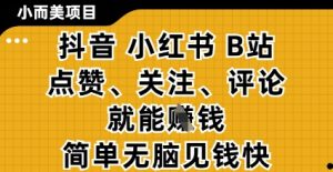 小而美的项目，抖音小红书B站视频点赞、关注、评论就能挣钱，简单无脑立见收益，妥妥的零撸项目【揭秘】-学习笔记资源库