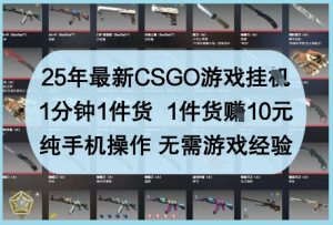 25年最新CSGO游戏挂G，1分钟1件货，1件货挣10元，纯手机操作，无需游戏经验【揭秘】-学习笔记资源库