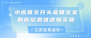 小说推文开头吸睛文案的底层思维逻辑实操-学习笔记资源库