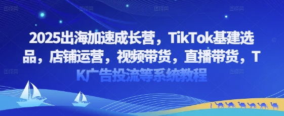 2025出海加速成长营，TikTok基建选品，店铺运营，视频带货，直播带货，TK广告投流等系统教程-学习笔记资源库