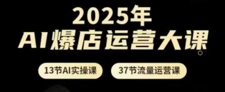 2025年AI爆店运营大课，13节AI实操课+37节流量运营课-学习笔记资源库