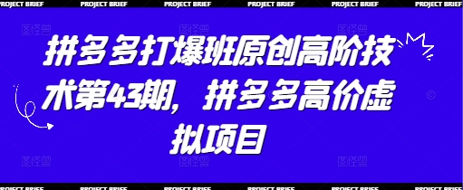拼多多打爆班原创高阶技术第43期，拼多多高价虚拟项目-学习笔记资源库