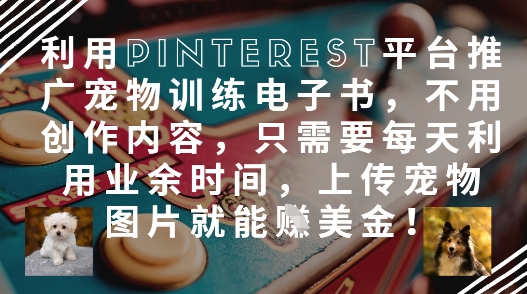 利用Pinterest平台推广宠物训练电子书，不用创作内容，只需要每天利用业余时间，上传宠物图片就能挣美金!-学习笔记资源库