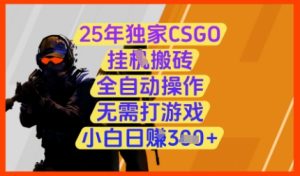 25年独家CSGO挂G搬砖,全自动操作,无需打游戏,小白日入3张+【揭秘】-学习笔记资源库