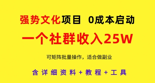 强势文化项目，一个社群收入25个W，0成本启动，可矩阵批量操作，原创详细实操教程-学习笔记资源库