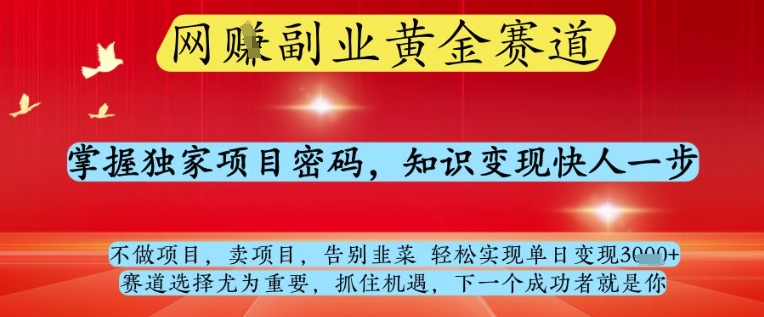 网创副业黄全赛道，掌握独家项目密码，知识变现快人一步，告别韭菜轻松实现单日变现1k+【揭秘】-学习笔记资源库