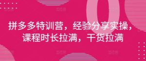 拼多多特训营,经验分享实操,课程时长拉满,干货拉满(更新25年4月)-学习笔记资源库