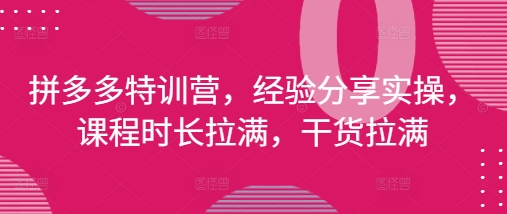 拼多多特训营，经验分享实操，课程时长拉满，干货拉满(更新25年4月)-学习笔记资源库
