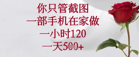 你只管截图，一部手机在家可以做，一小时120.一天5张+【揭秘】-学习笔记资源库