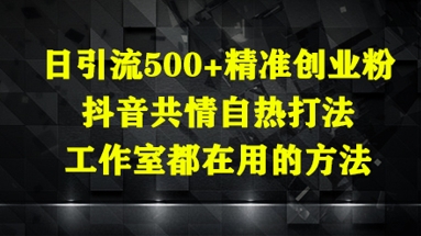 日引流500+精准创业粉，抖音共情自热打法，工作室都在用的方法-学习笔记资源库