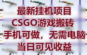 最新挂G项目，CSGO游戏搬砖，手机可做，无需电脑，当日见收益【揭秘】-学习笔记资源库