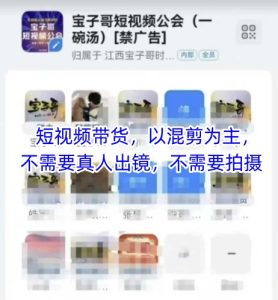 宝子哥头部团队短视频带货,以混剪为主,不需要真人出镜,不需要拍摄【更新】-学习笔记资源库