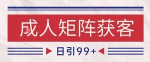 小红书某音橙人赛道引流获客,自热矩阵日引200+【揭秘】-学习笔记资源库