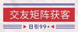 小红书某音交友赛道引流获客 自热矩阵日引200+【揭秘】-学习笔记资源库