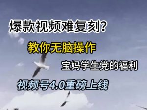 视频号4.0重磅上线,爆款视频难复刻?教你无脑操作宝妈学生党的福利【揭秘】-学习笔记资源库
