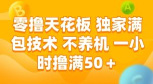 零撸天花板,独家满包技术 不养机 一小时撸满50+【揭秘】-学习笔记资源库