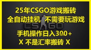 25年CSGO游戏搬砖,全自动运行,不需要玩游戏,手机操作日入3张(不是汇率搬砖)【揭秘】-学习笔记资源库
