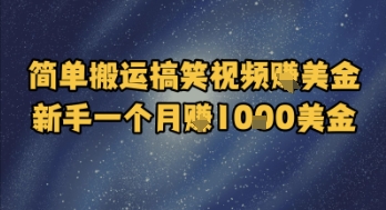 简单搬运搞笑视频挣美金，新手一个月入1k美金-学习笔记资源库