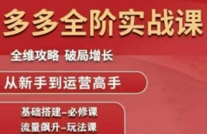 拼多多全阶实战课程,全维攻略,破局增长,从新手到运营高手-学习笔记资源库