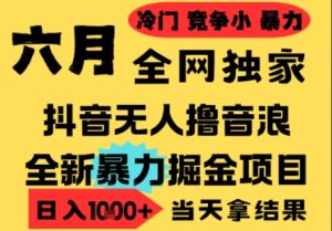 25年6月高爆抖音无人直播最新撸音浪掘金项目，小白可做，无脑日入1k+，门槛低可批量矩阵【揭秘】-学习笔记资源库