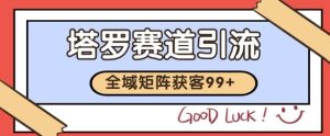 小红书某音塔罗赛道引流获客 自热矩阵日引200+【揭秘】-学习笔记资源库