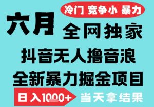 2025年6月高爆抖音无人直播最新撸音浪掘金项目,无脑日入1k+,低门槛小白可做,可矩阵放大【揭秘】-学习笔记资源库