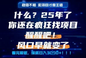 什么？25年你还在疯狂找项目做，醒醒吧，看完这些你全都懂了！【揭秘】-学习笔记资源库