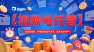 【视频号托管 】我提供视频,你每天花5分钟发布,最高躺挣2W+【揭秘】-学习笔记资源库