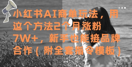 小红书AI商单玩法，用这个方法2个月涨粉7W+，新手也能接品牌合作(附全套指令模板)-学习笔记资源库
