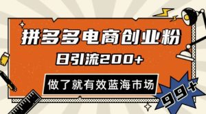 拼多多引流电商创业粉,日引200+,可矩阵放大,做了就有效【揭秘】-学习笔记资源库