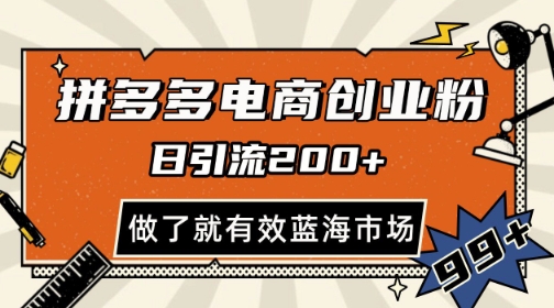 拼多多引流电商创业粉，日引200+，可矩阵放大，做了就有效【揭秘】-学习笔记资源库