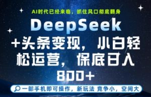 DeepSeek+头条变现,保姆级教学,小白轻松上手,日入8张+【揭秘】-学习笔记资源库
