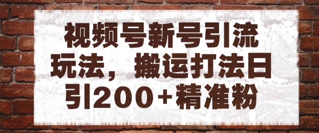 视频号新号引流玩法，搬运打法日引200+精准粉，可矩阵放大【揭秘】-学习笔记资源库