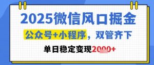2025微信风口掘金,公众号+小程序双管齐下,单日稳定变现1k+【揭秘】-学习笔记资源库