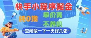 快手小程序掘金,纯0撸,单价高不养机 利用空闲时间做一做,一天好几张【揭秘】-学习笔记资源库