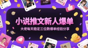 小说推文新人爆单大佬每天稳定三位数爆单经验分享-学习笔记资源库