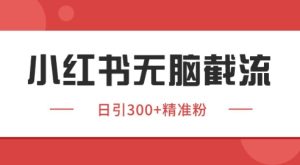 小红书截流同行客源,独家野路子获客玩法 日引200+暴力获客【揭秘】-学习笔记资源库