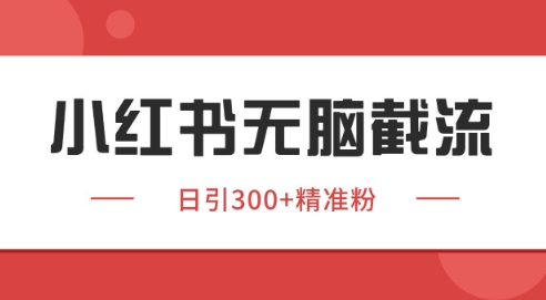 小红书截流同行客源，独家野路子获客玩法 日引200+暴力获客【揭秘】-学习笔记资源库