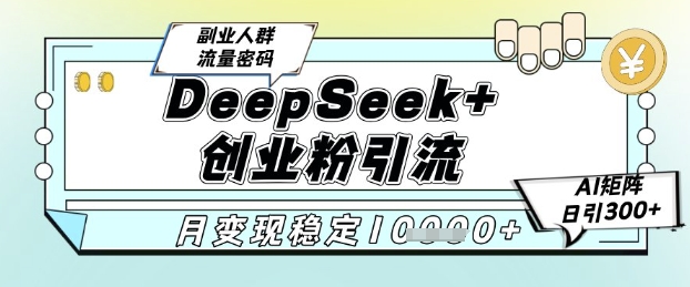 DeepSeek+创业粉精准引流，全新分享课4.0玩法，AI矩阵日引300+，多种变现方式，稳定月入1W-学习笔记资源库