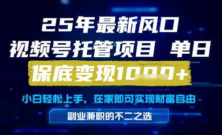 25年最新风口，视频号托管项目，单日保底变现1k+，手把手教学【揭秘】-学习笔记资源库