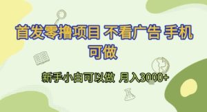 首发零撸项目 不看广告 手机可做 新手小白可以做  月入3k+【揭秘】-学习笔记资源库