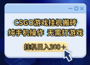CSGO游戏挂G搬砖,小白纯手机即可操作,不用电脑打游戏,日入3张+,副业网创项目【揭秘】-学习笔记资源库