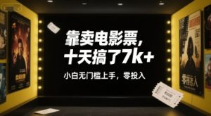 靠卖电影票,十天搞了7k+,小白无门槛上手,零投入【揭秘】-学习笔记资源库