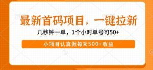 最新首码项目,操作最简单,收益高,一键拉新,1个小时单号可50+,小项目认真做每天5张+收益【揭秘】-学习笔记资源库