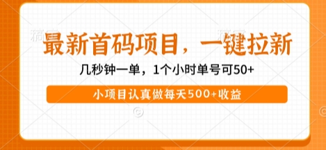 最新首码项目，操作最简单，收益高，一键拉新，1个小时单号可50+，小项目认真做每天5张+收益【揭秘】-学习笔记资源库