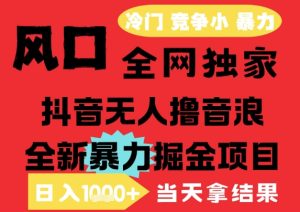 25年6月高爆抖音无人直播最新撸音浪掘金项目，解放双手小白可做，无脑日入1k+，门槛低【揭秘】-学习笔记资源库